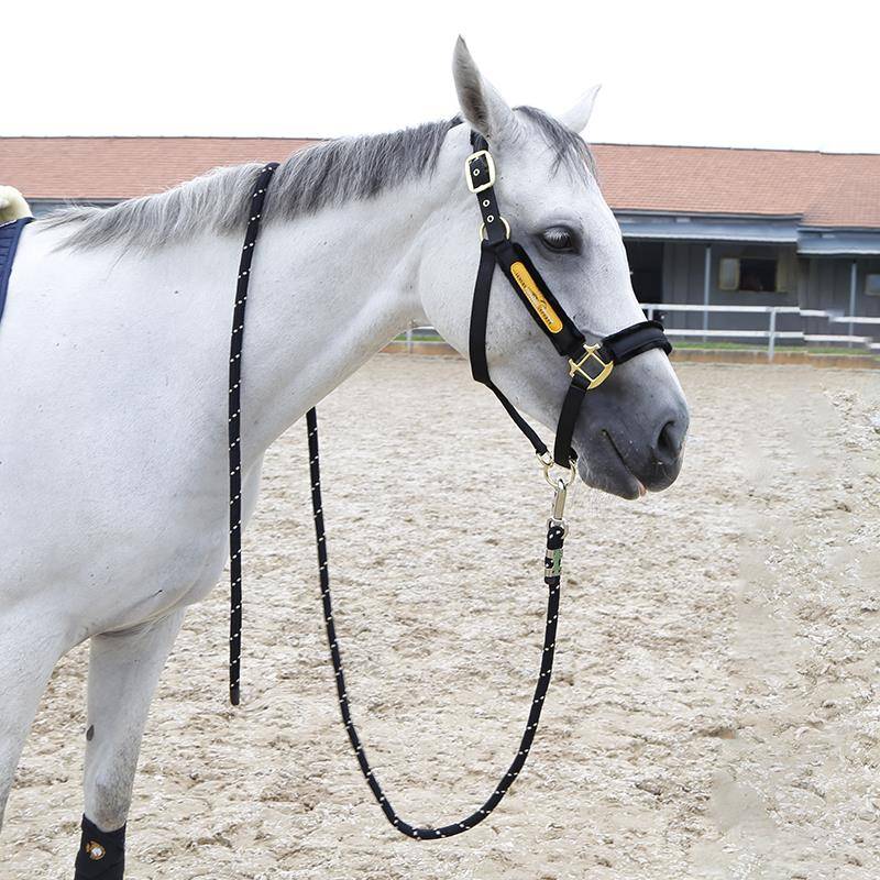 Black Cage + Horse Rope